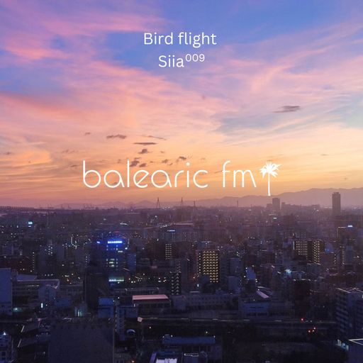 Bird Flight (DJ Siia, 009)