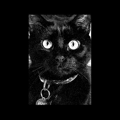 FED UP EPISODE: HUMAN MISSILE CRISIS (GARAGE ROCK/PUNK)