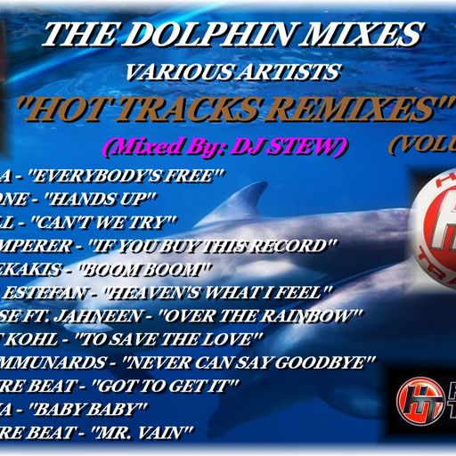 THE DOLPHIN MIXES - VARIOUS ARTISTS - ''HOT TRACKS REMIXES'' (VOLUME 33)