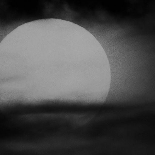 BLACK STUDIES w/ Lamin Fofana & Mohammed Tatour  - 15th April 2026