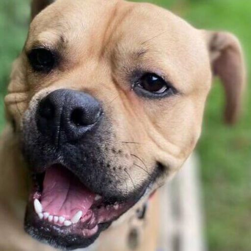 1-LTN-Techno-05-07-25