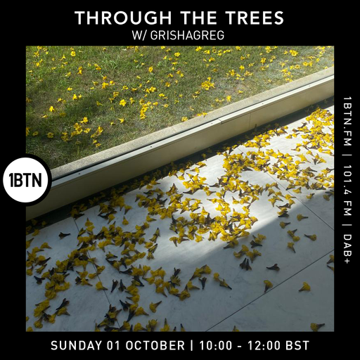 Through the Trees with Ty ft. Grishagreg- 01.10.23.