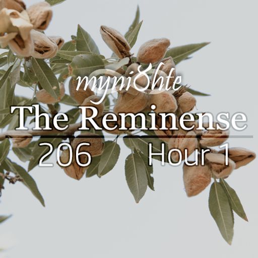 The Reminense 206 - Hour 1