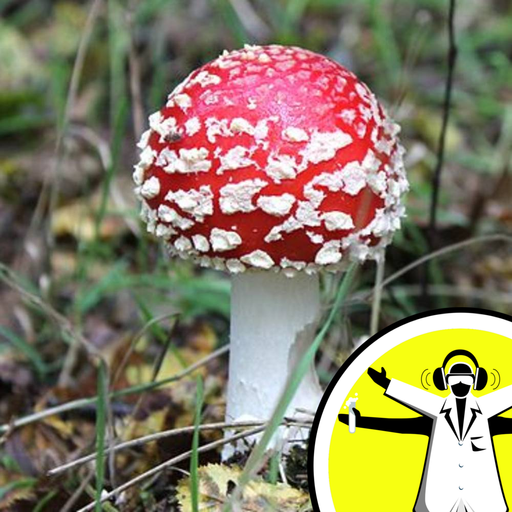 Fascinating Fungi
