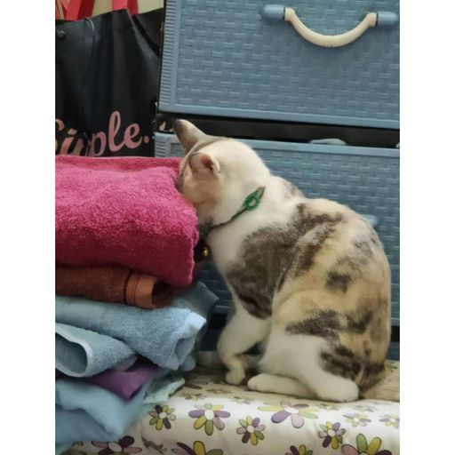 DJ'YE《Dj Nene - 金宮神仙水 x 黃霄雲 - 星辰大海 x 孫盛希 - 少一點天分》Rmx 2x21 Private Mixtape Just For C.H.S 26/6/2021