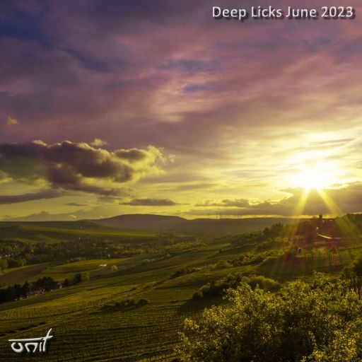 Deep Licks - June 2023