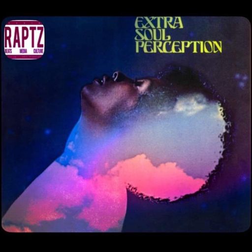 EXTRA SOUL PERCEPTION #1 DJ Fib