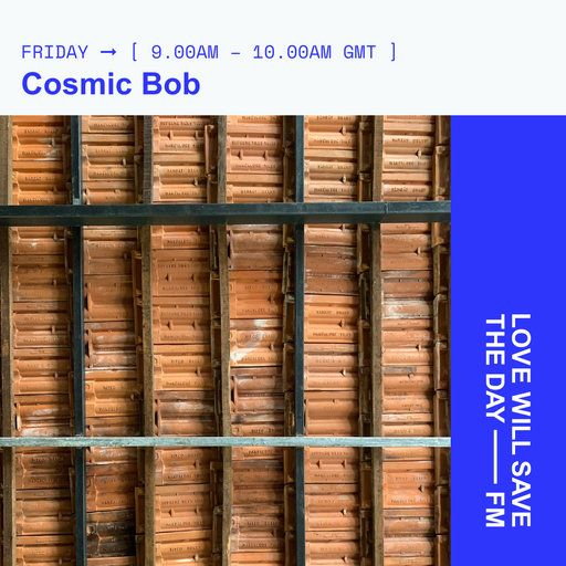 2024-02-09 Cosmic Bob