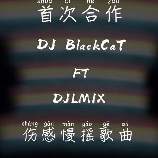 【每天听新歌不会Sien咩？听旧歌啦！】DJ BlackCaT FT DJLMIX 首次合作 伤感慢摇歌曲 2o19 REMIX ！