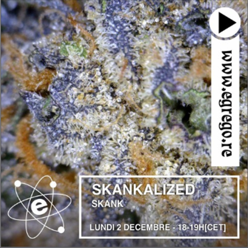 Skankalized 02