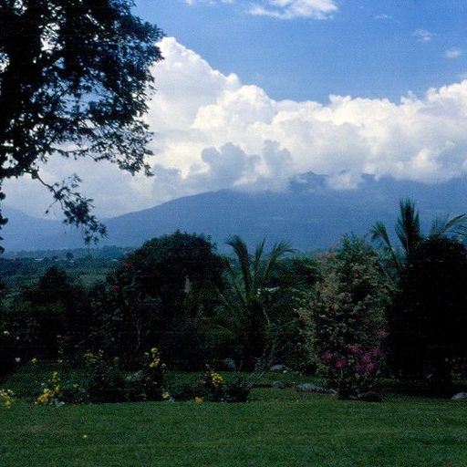 Ela Minus - 26th November 2025