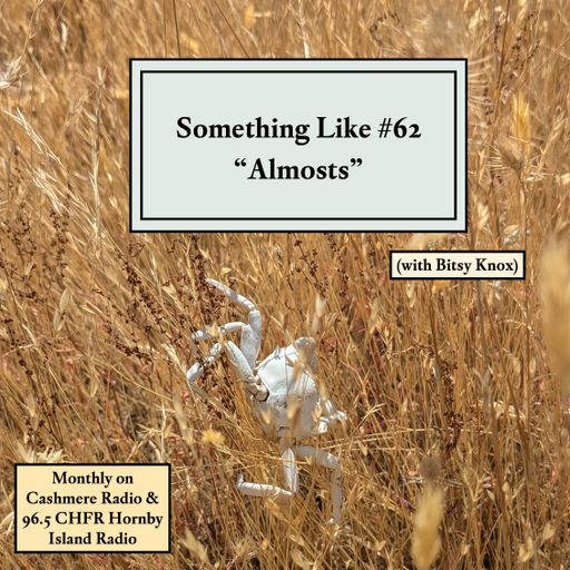 Something Like #62: Almosts, w/ Bitsy Knox 11.09.2024