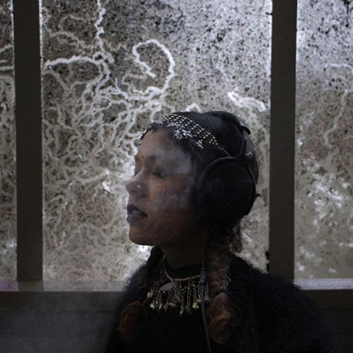 Tara Lily - 15th December 2025