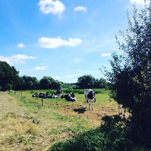 Mx Internationalist w/ sad queers club - 06/02/23