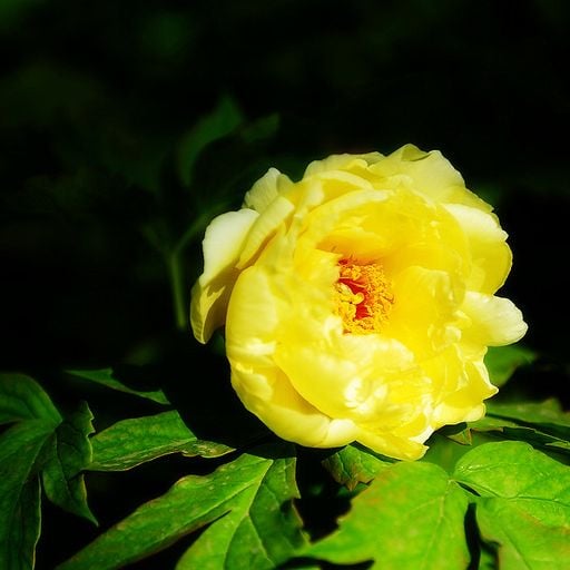 Spring in China