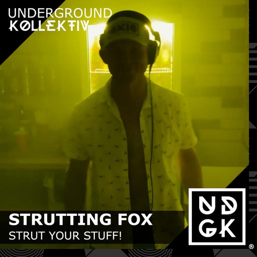 Strutting Fox - Strut Your Stuff! (UDGK: 03/08/2025)