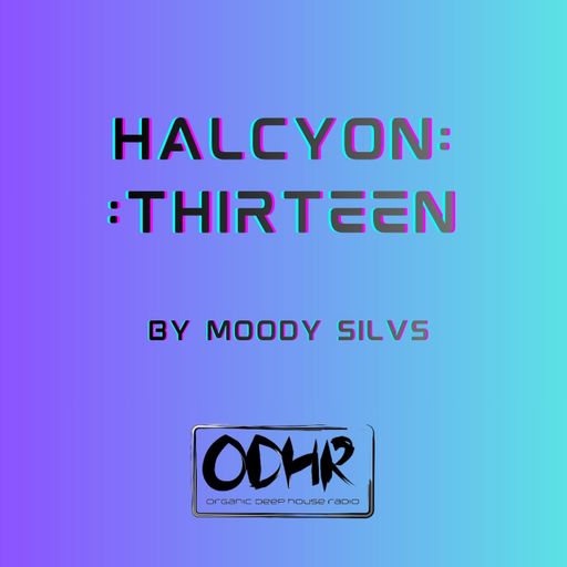 DJ Moody Silvs- Halcyon 13