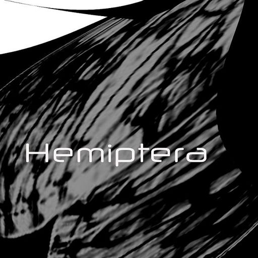 hemiptera live pa 11 21 09