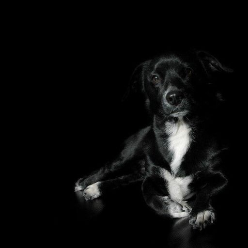 Alias Grace - House Train3d (05/10/23)