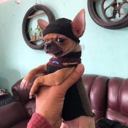 DJ'YE【Roy Private Mix】《WUKONG - 黃飛鴻重生 X 陳壹千 - 仗著 X 盛哲 - 在你的身邊 X 陳壹千 - 仗著 X 於冬然 - 聽說你》Mixtape 2x22