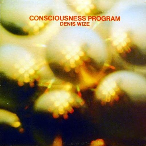 CONSCIOUSNESS PROGRAM [A JAMAICAN FINNISH KIWI JAM] - PART TWO