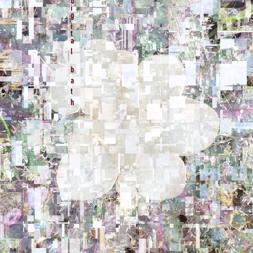 digital bath w/ ollie (01.21.2024)