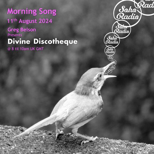 Greg Belson's Divine Discotheque - Morning Song (11/08/2024)