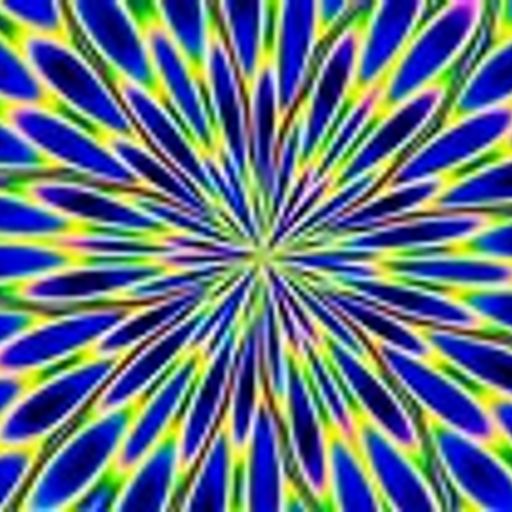 Magic Mushrooms SunsetGrooves