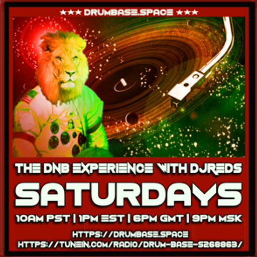 dnb experience 050119