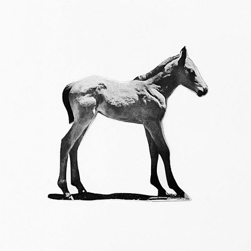 Machines of Loving Grace w/ Midwife - 25th July 2025