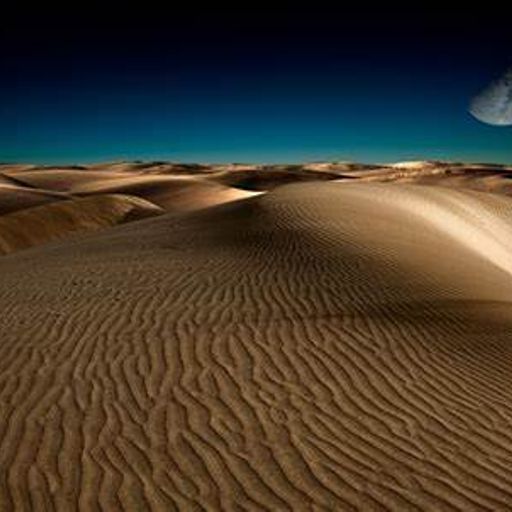 Spacebeats (Night Desert Mode)