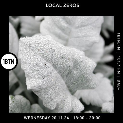 Local Zeros - 20.11.24