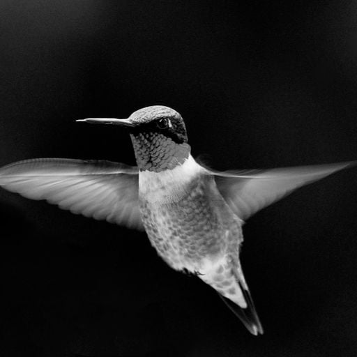 Hummingbird - Thinking Outside