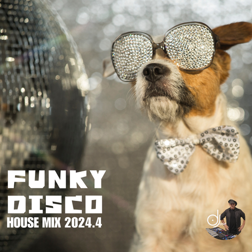 Funky Disco House Mix 2024.4