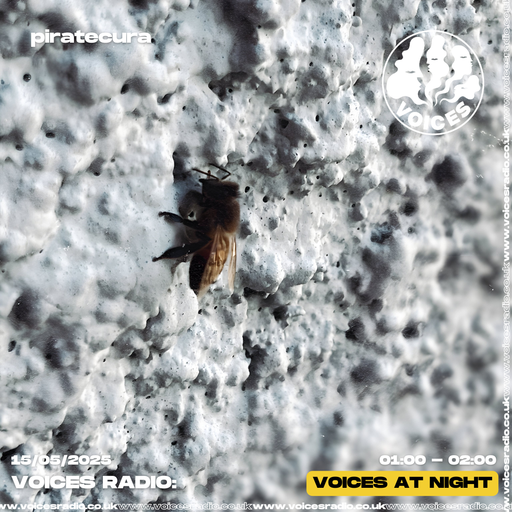PIRATECURA 14/05/25 - Voices Radio