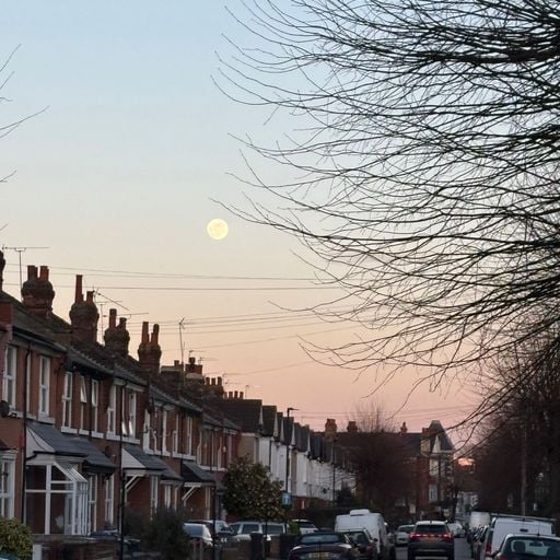 The Dispatch Show with Sonia Bernardo (02/03/2026)