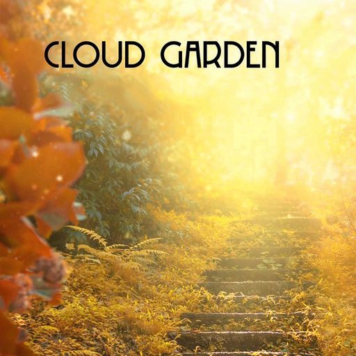 Cloud Garden