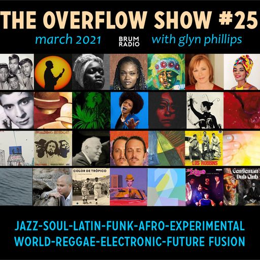 The Overflow Show No 25 with Glyn Phillips (March 2021)