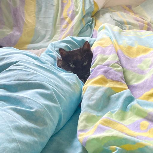 Dial Tone w/ Camille & Marcus - 10/10/23 - Voices Radio