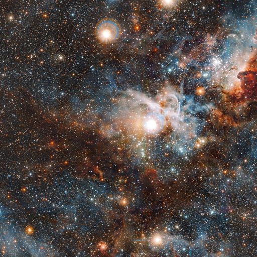 What's Up In The Sky? 29-01-2019