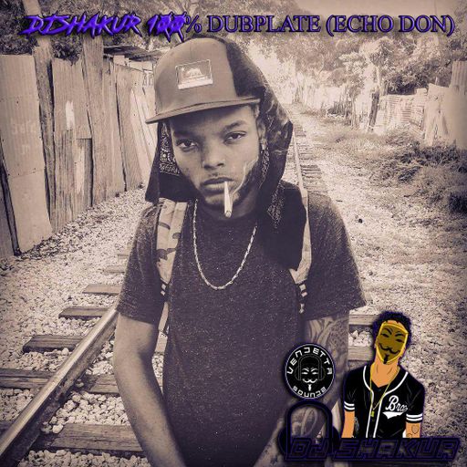 DJ Shakur - Exclusive 100% Dubplate (Echo Dan) (Reggae & Dancehall Mixtape 2017)