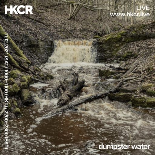 dumpster water - 11/12/2021