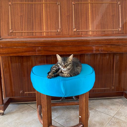 Sentiments w/ Slouchy - 24/06/23