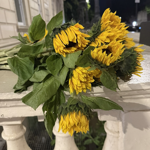 Happy Death w/ Ed Horrox - 26th June 2025