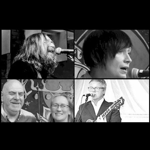 Live and Local with Robin Valk: Snapshots from Moseley Folk 2017