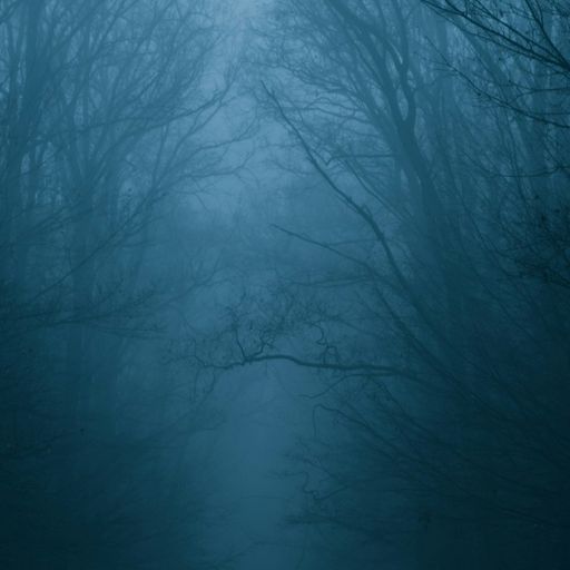 Naviar Broadcast #369 - Cloud and Mist Alike - 28th May 2025