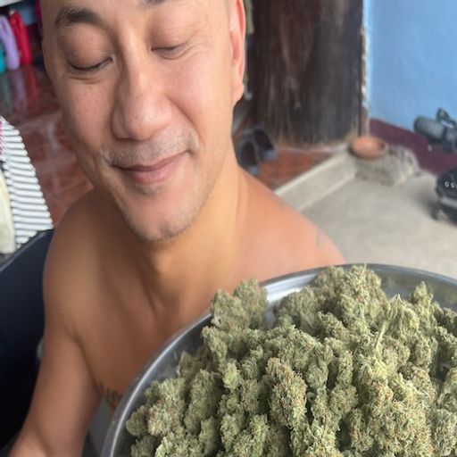 A Tokers Delight Vol.34