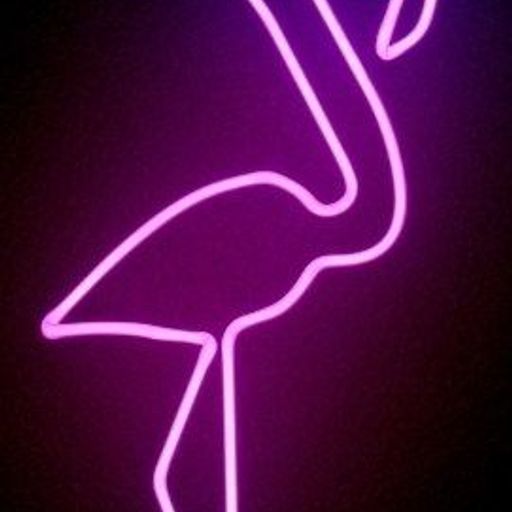 Pink Flamingo (BluesRockFolkCountry)