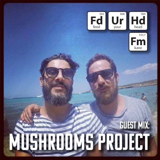 Feed Your Head hosted by the Hutchinson Brothers with Mushrooms Project