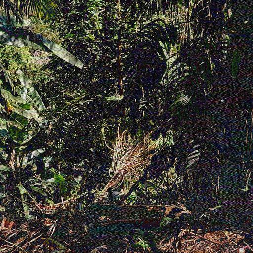 Antropoceno - 4th November 2025